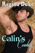 Calin's Cowboy